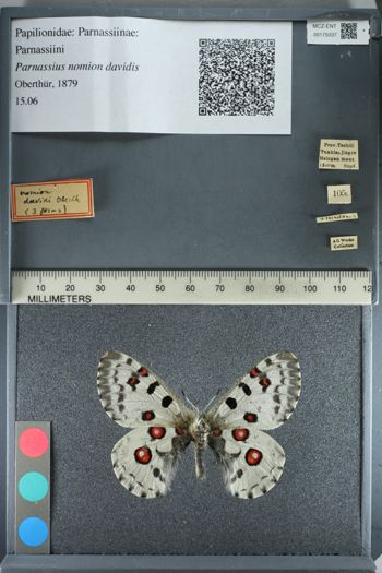 Media type: image;   Entomology 175037